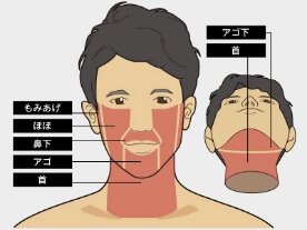 部位イメージ